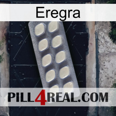 Eregra 08